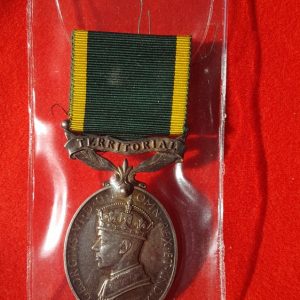 territorial efficiency medal