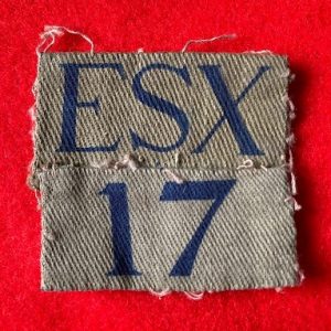 17th Essex Home Guard badges