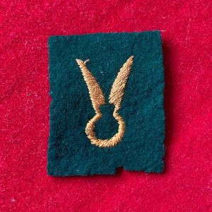 Durham & N. Yorks Division badge