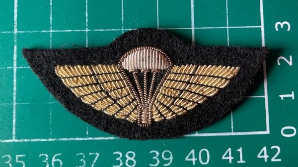 Australian Special Air Service wings