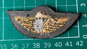 Australian Special Air Service wings