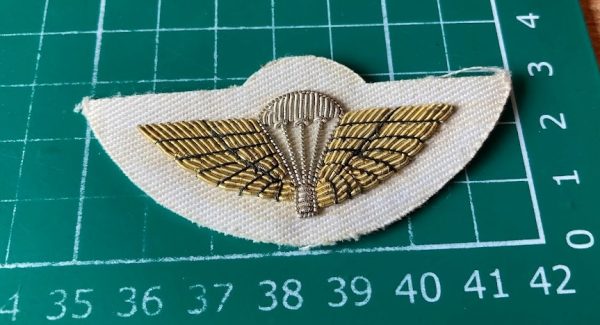 Australian Special Air Service wings