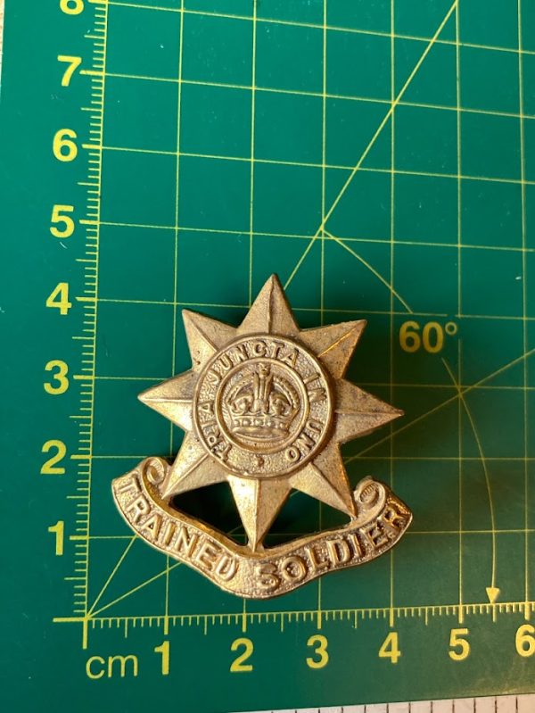 Guards Division Trained Soldier Cap Badge